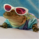 holigator avatar