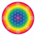 hologramrainbow-blog avatar