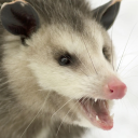 horde-of-opossums avatar