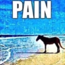 horse-of-pain avatar