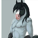 horseaddicted avatar