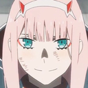 horseperson242 avatar