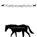 horseshowphotography avatar