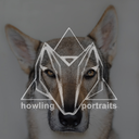 howlingportraits avatar