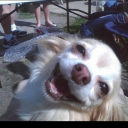 ijustbewriting avatar