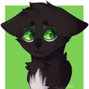 irl-ravenpaw avatar