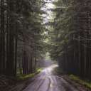 ironical-sonder avatar