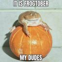 itsfrogtober avatar