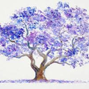 jacarandabanyan avatar