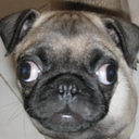 jerepug avatar