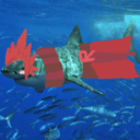 kirisharkma avatar