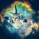 kittenastrology avatar