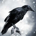 komrucorvidae avatar