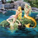 landmermaids avatar