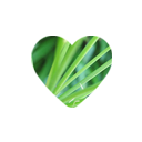 leaves-and-other-things avatar