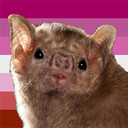 lesbibat-blog avatar