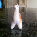 letslovellamas avatar