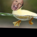 lilduckramsay avatar