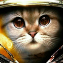 lucacat avatar