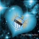 manchestercitysupporters avatar