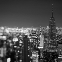 manhattannightscitylights avatar