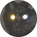 manulcat avatar