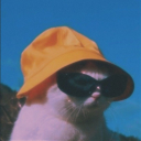 marcellebasilio avatar