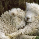 mctulsaysstuff avatar