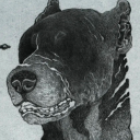 melaneusthehound avatar