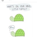 melvin-the-turtle-3 avatar