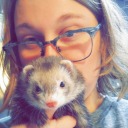 micah-ferret-king avatar