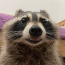 miscievousraccoon avatar