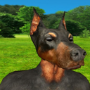 moldendog-blog avatar