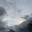 mosaicofreminiscences avatar