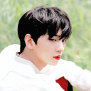 msujaein avatar