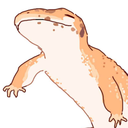 mudkip-the-geck avatar