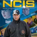 ncis-season-13 avatar