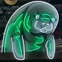 neonmanatee avatar