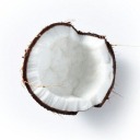 obsessed-coconut avatar