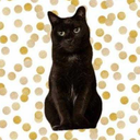 obsidianblackcats avatar