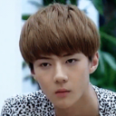 ohsehunbottom avatar