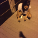 okaydoll avatar