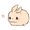 paddedbunny avatar