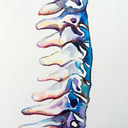 paintedspine avatar