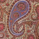 paisley-style avatar