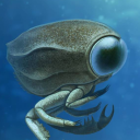 paleodictyoptera avatar