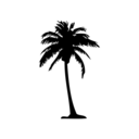 palmtreefusion avatar