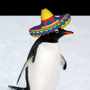 penguinsombreros avatar