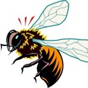 pettingabumblebee avatar