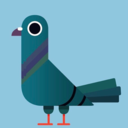 pigeon-person-blog avatar